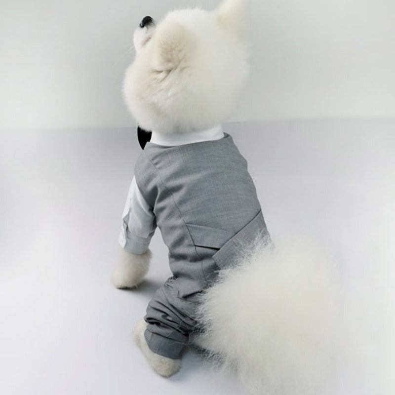 SUIT