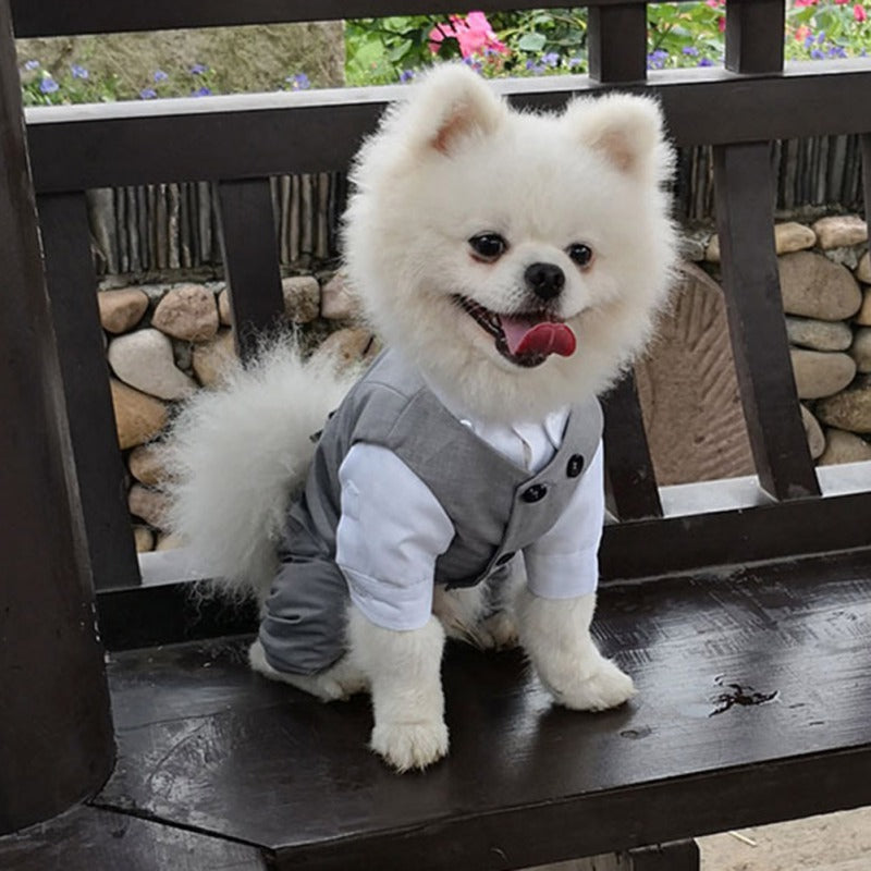 SUIT