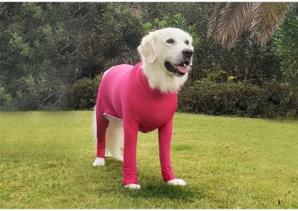 ONESIE