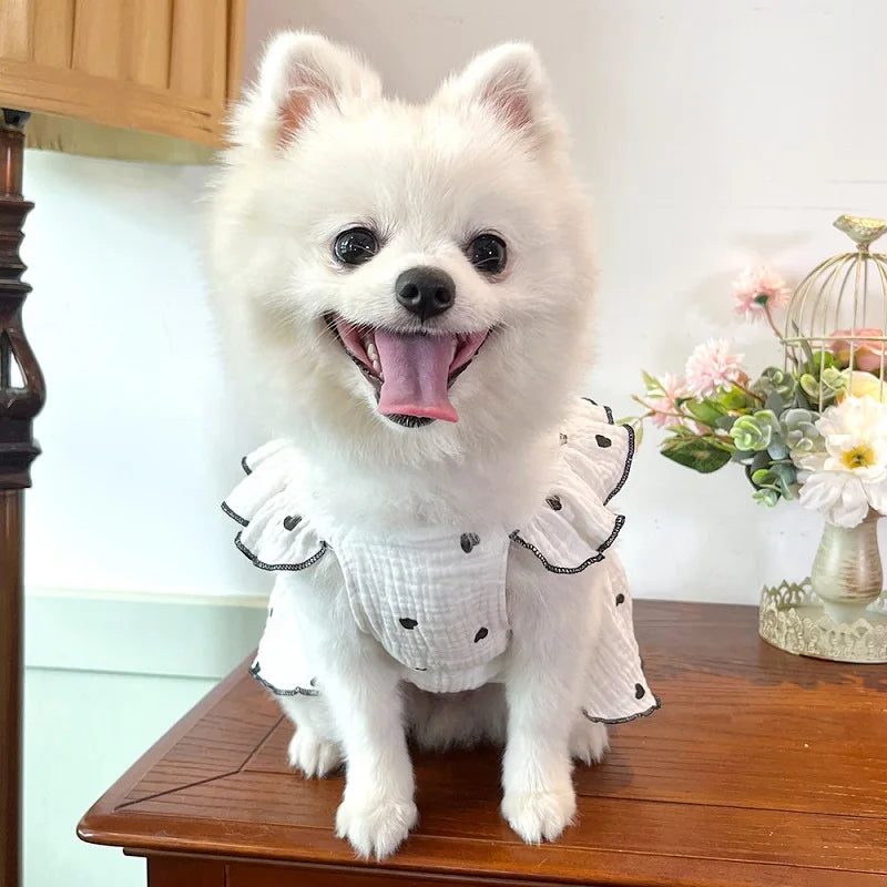BOW DRESS