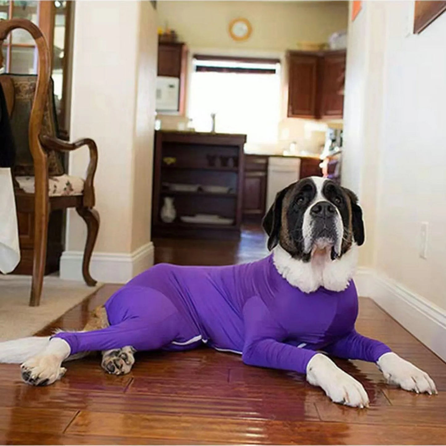 SHEDDING AND RECOVERY SUIT