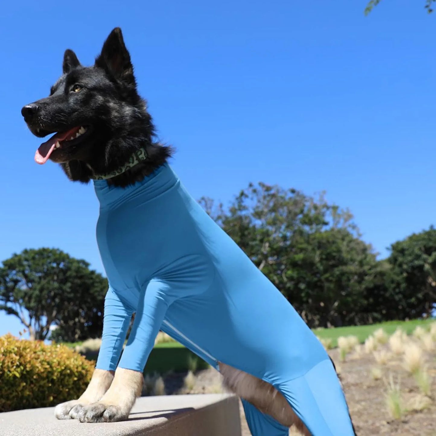 SHEDDING AND RECOVERY SUIT