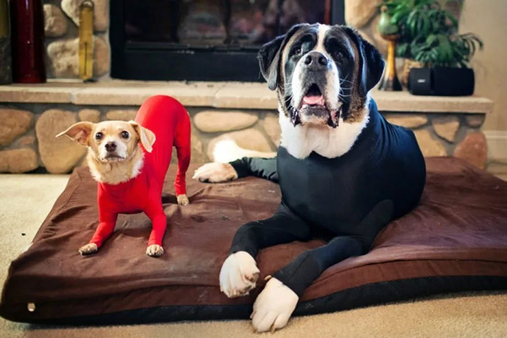 ONESIE