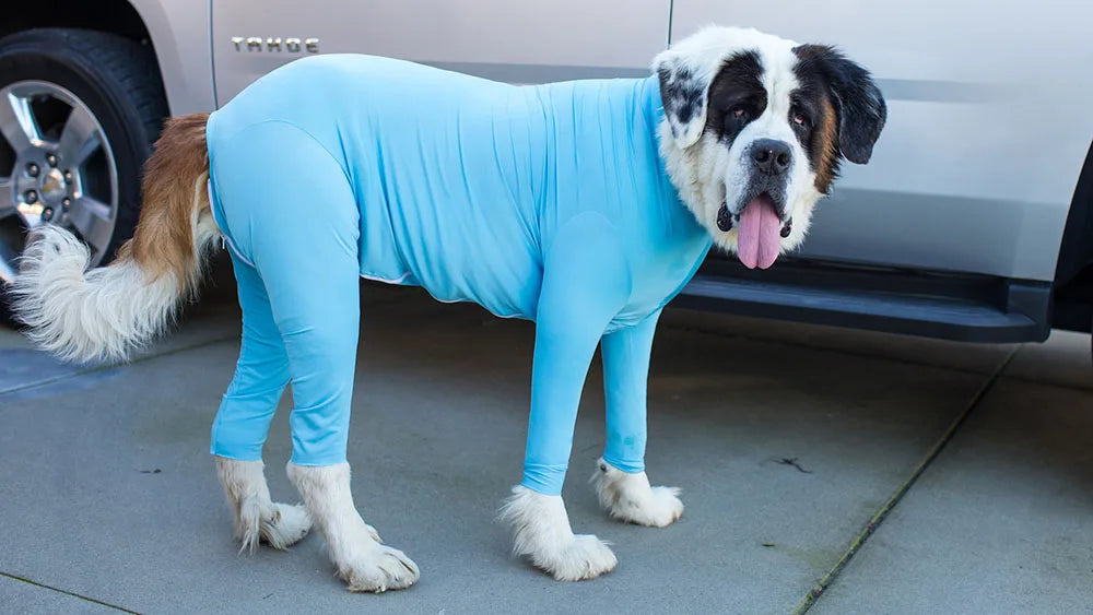 ONESIE