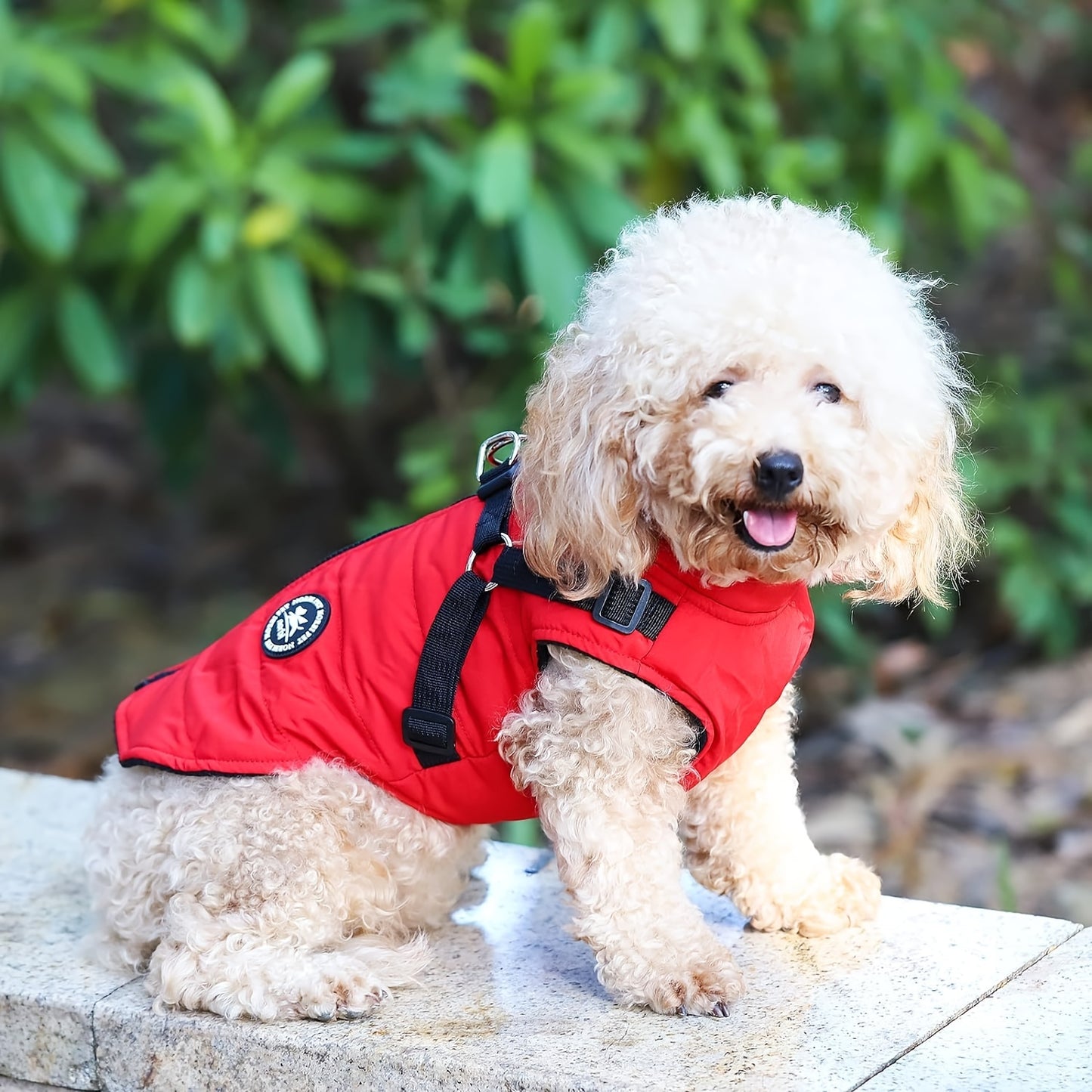 RED JACKET