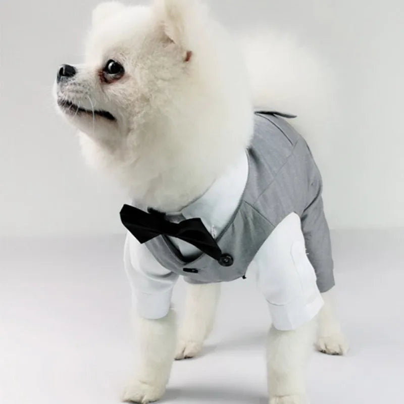 SUIT