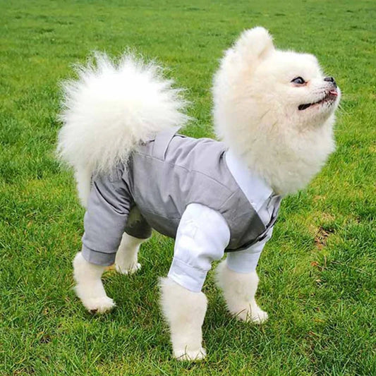 SUIT