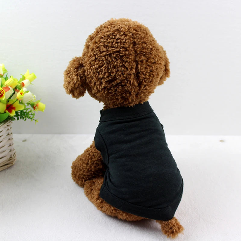 SOLID VEST