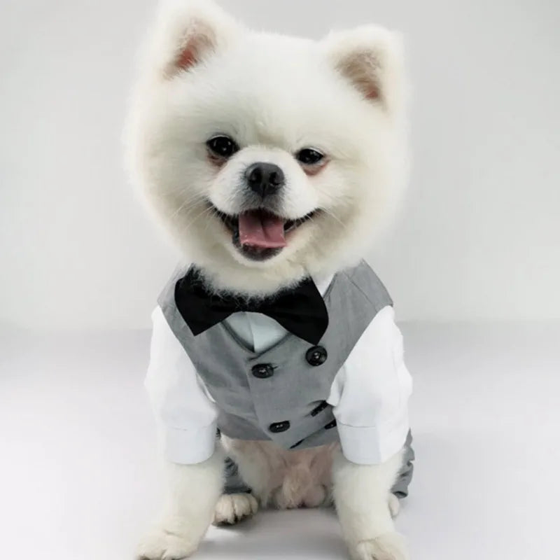 SUIT