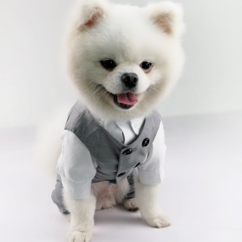 SUIT