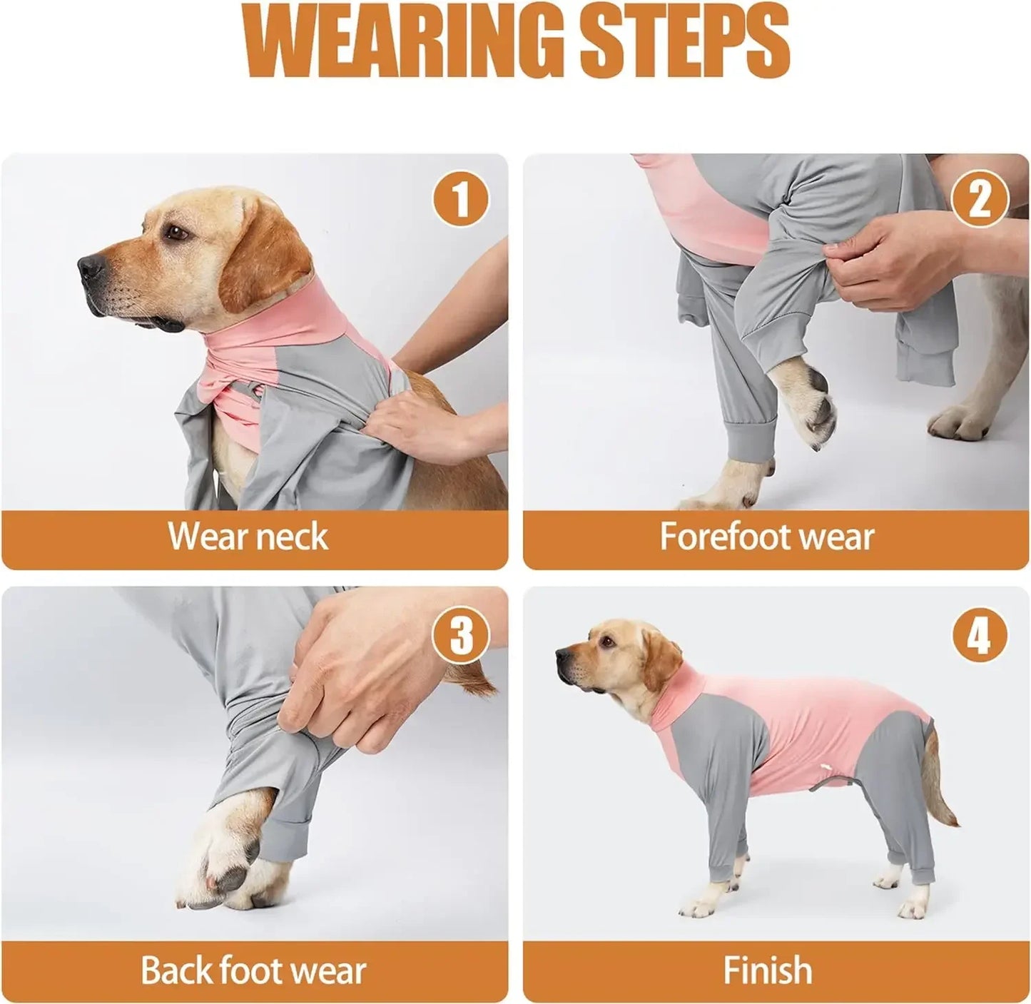 RECOVERY AND SHEDDING SUIT