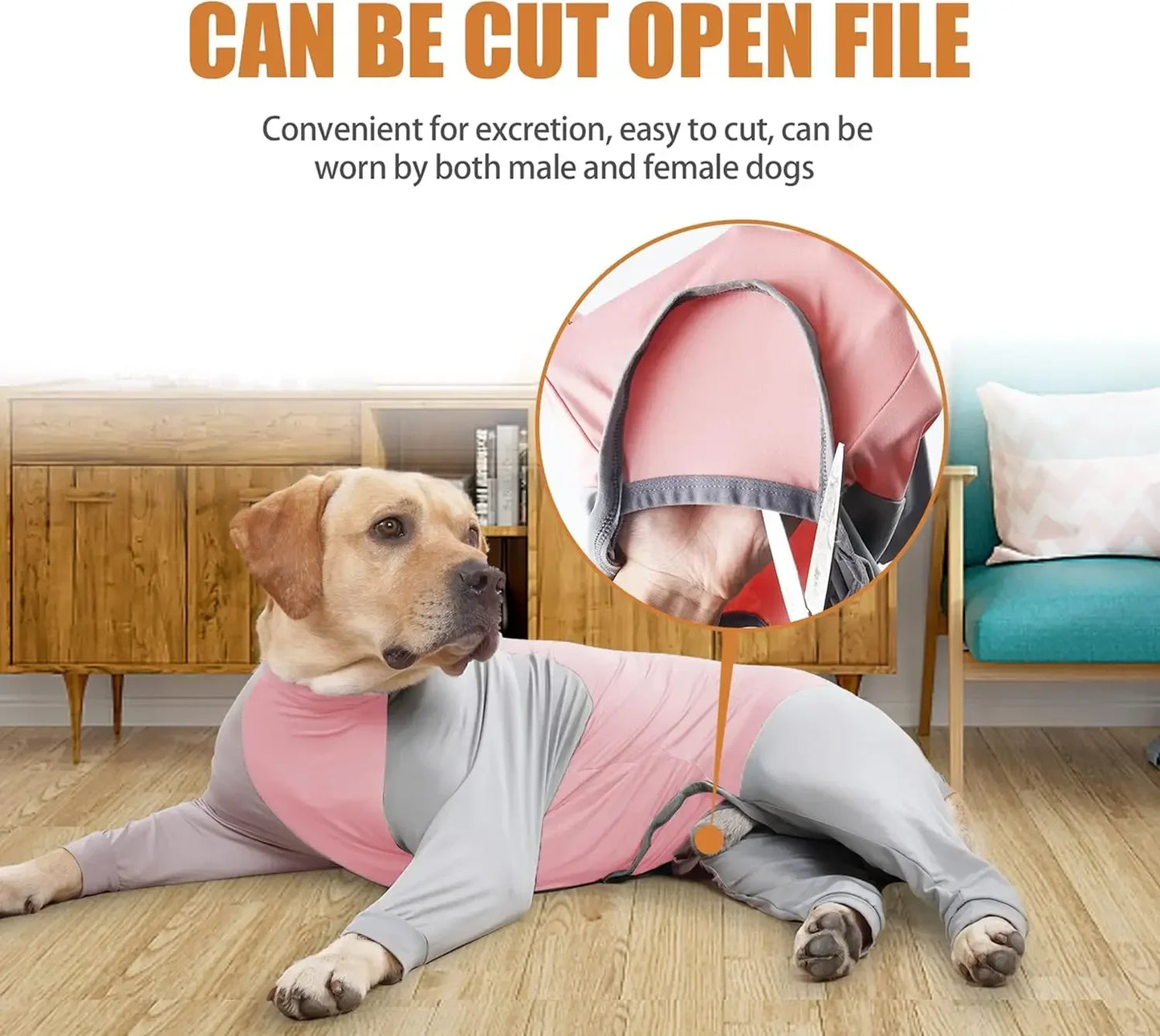 RECOVERY AND SHEDDING SUIT