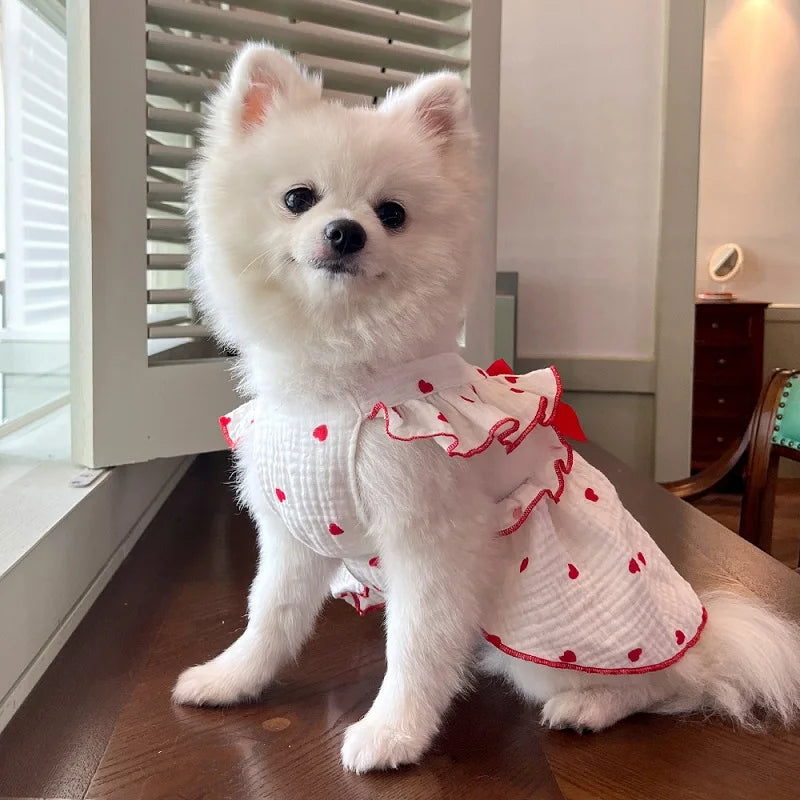 BOW DRESS