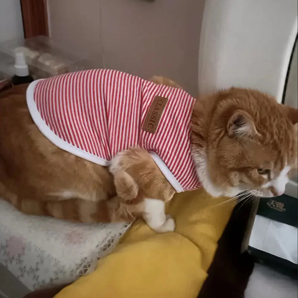 Summer Vest