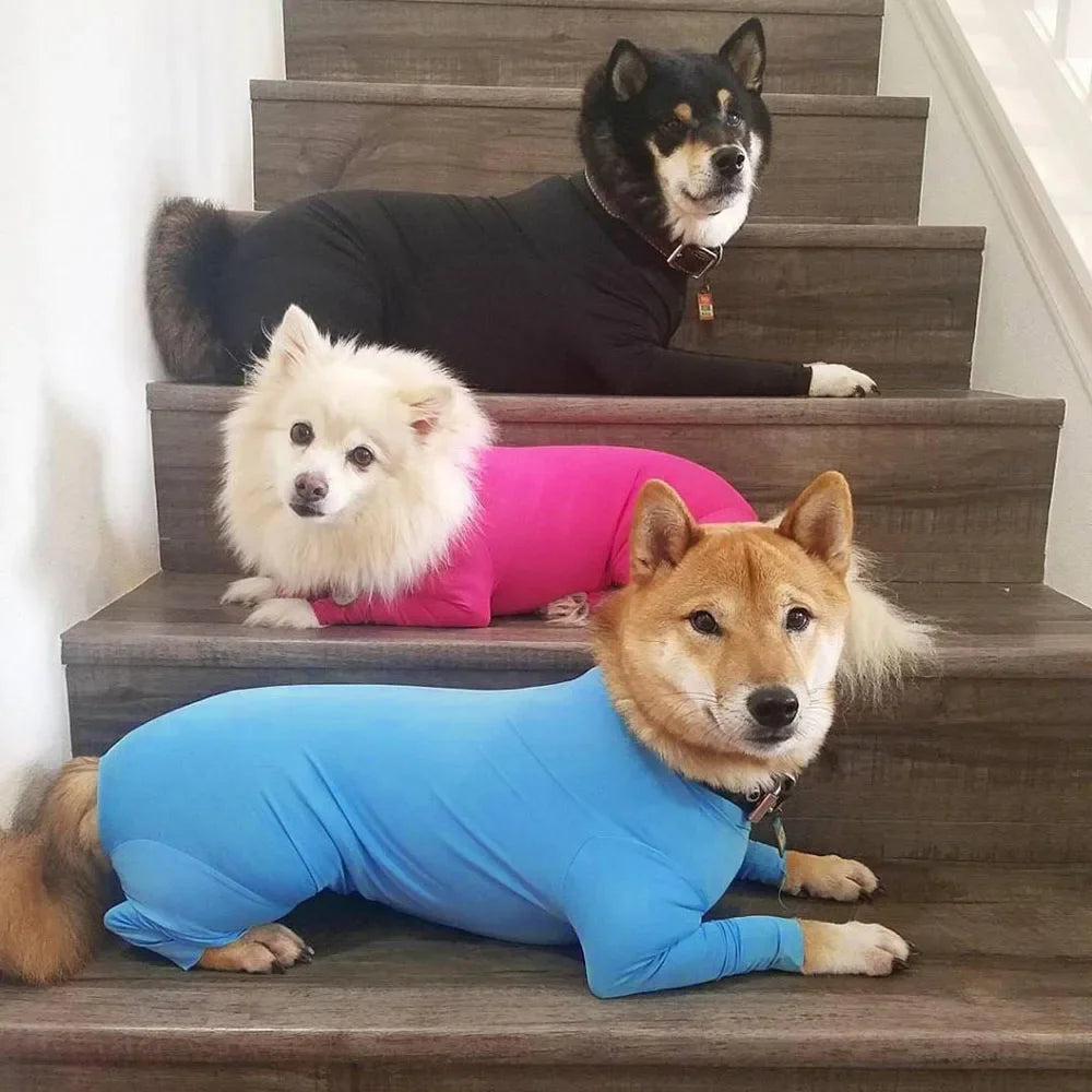 ONESIE