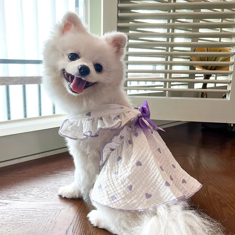 BOW DRESS