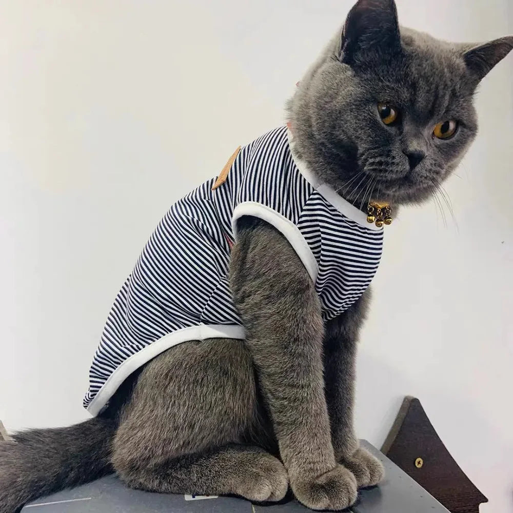 Summer Vest