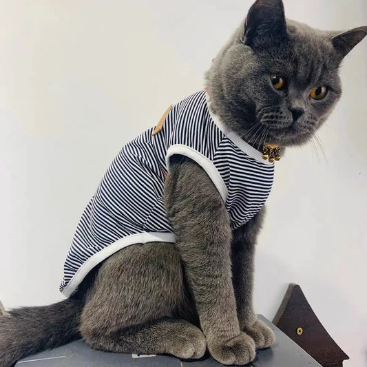 Summer Vest