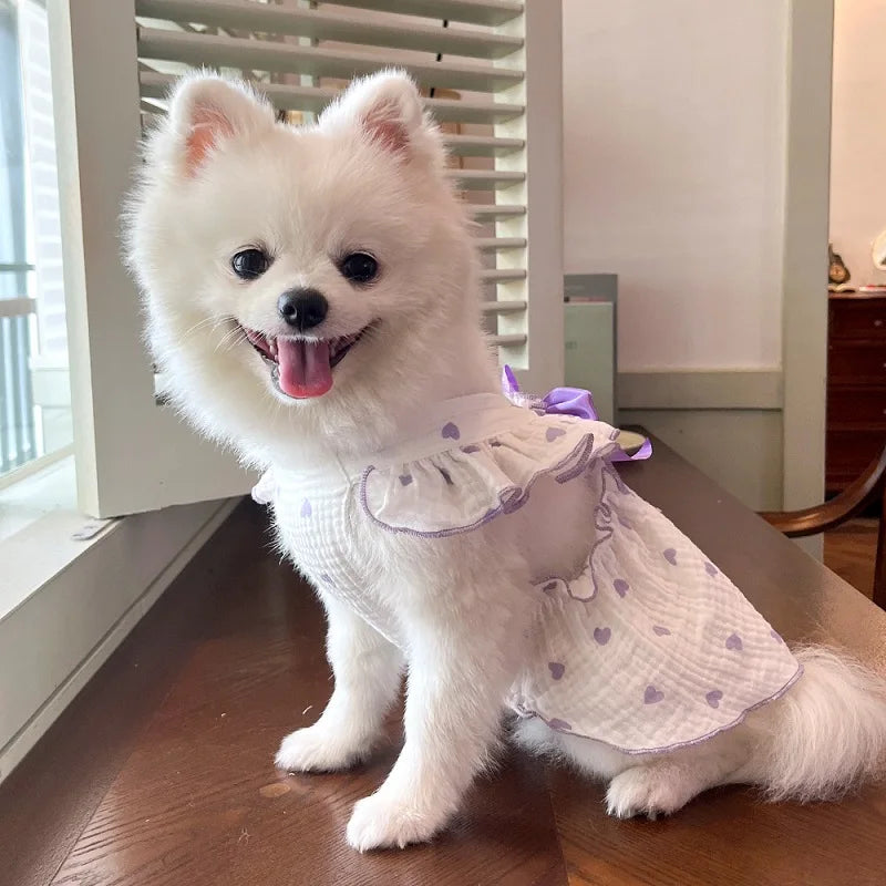 BOW DRESS