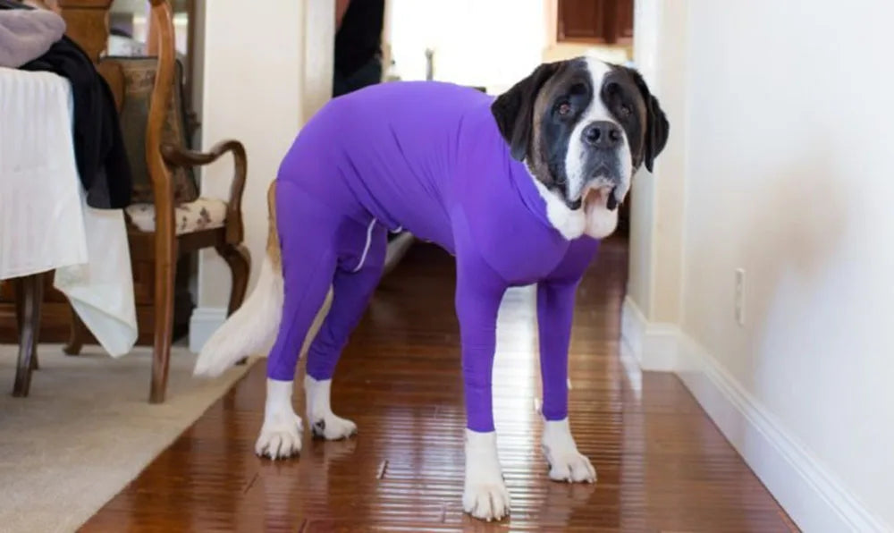 ONESIE