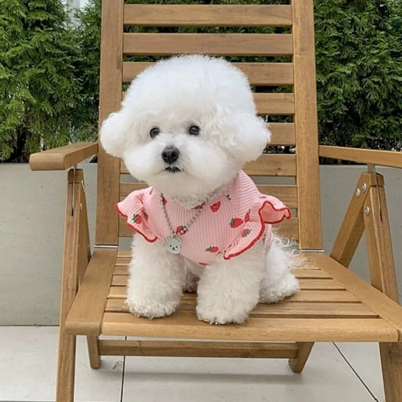 STRAWBERRY SHIRT