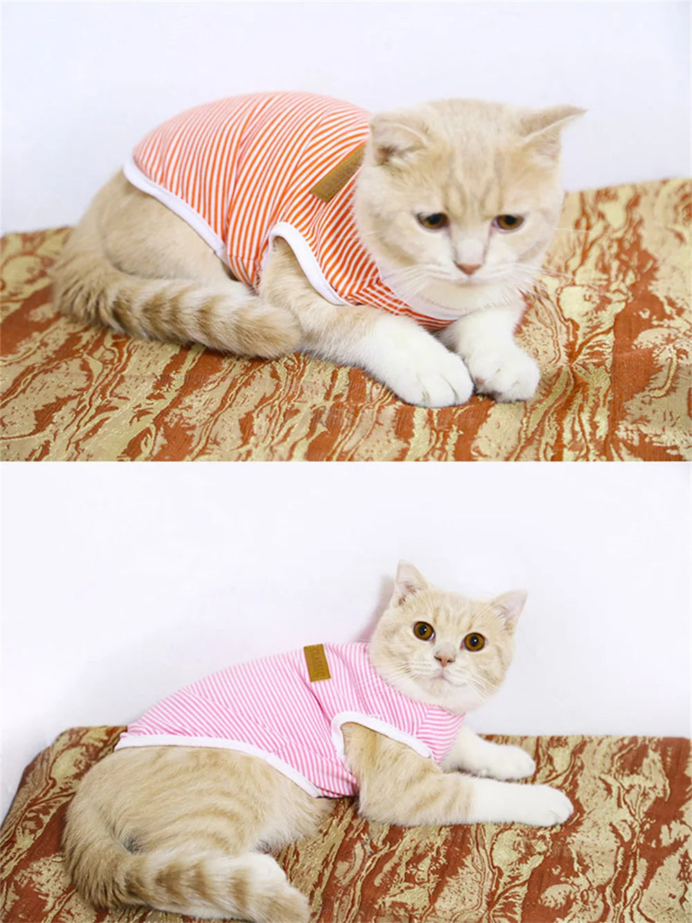 Summer Vest