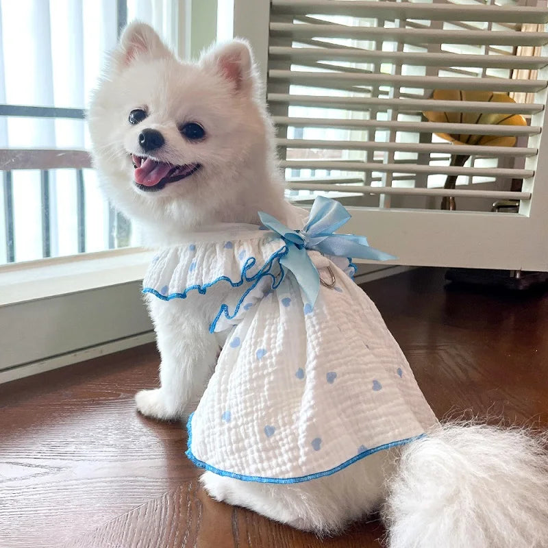 BOW DRESS