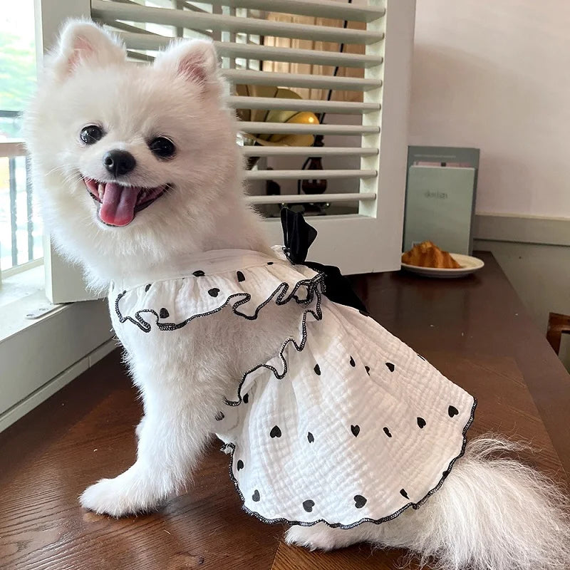 BOW DRESS