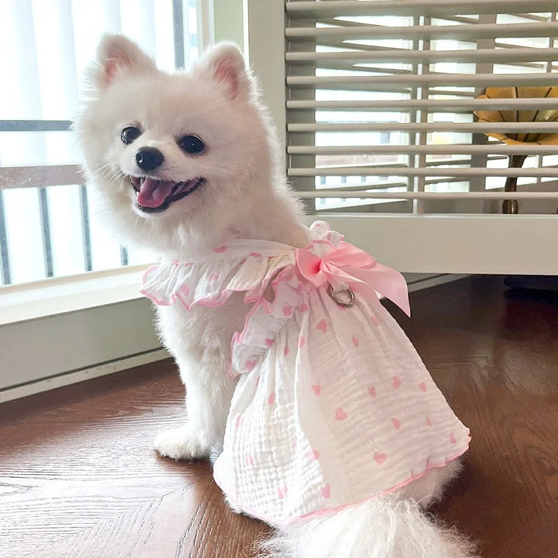 BOW DRESS