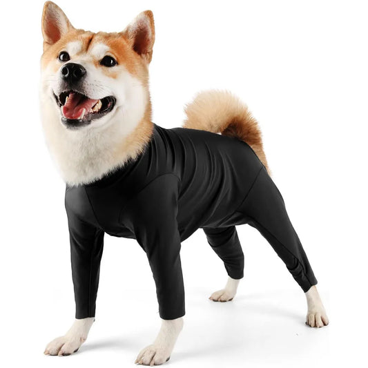 ONESIE