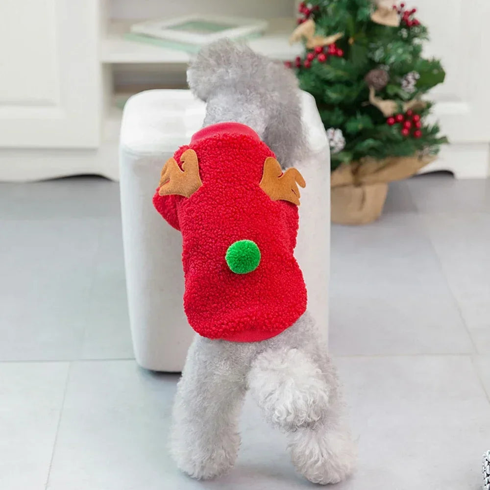 CHRISTMAS COAT