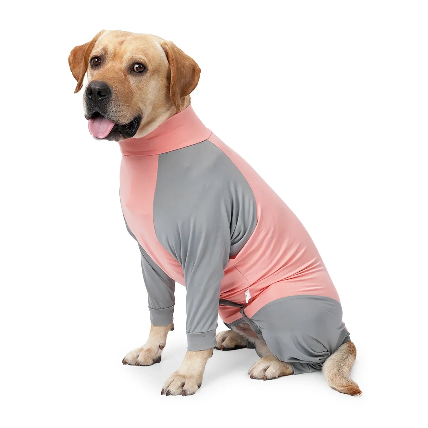 RECOVERY AND SHEDDING SUIT