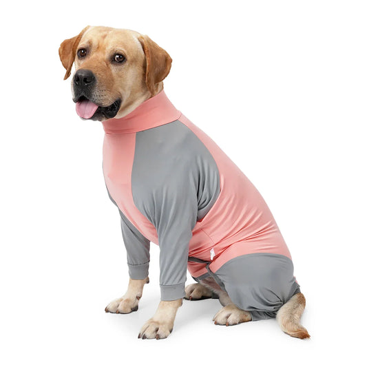 RECOVERY AND SHEDDING SUIT