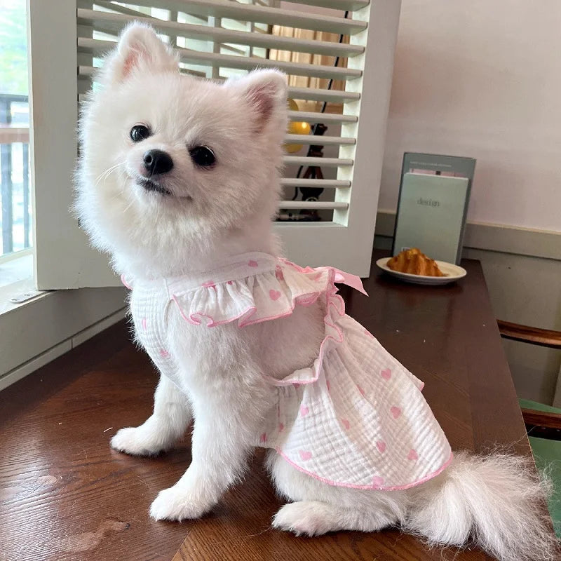 BOW DRESS