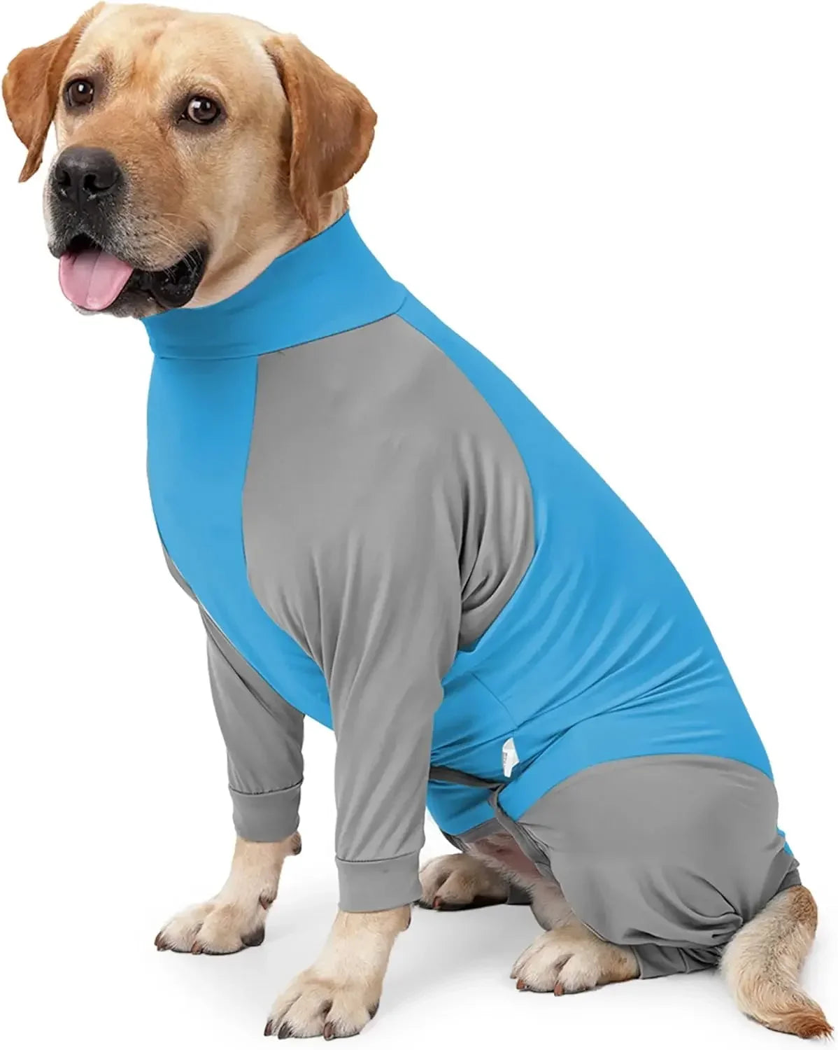 RECOVERY AND SHEDDING SUIT