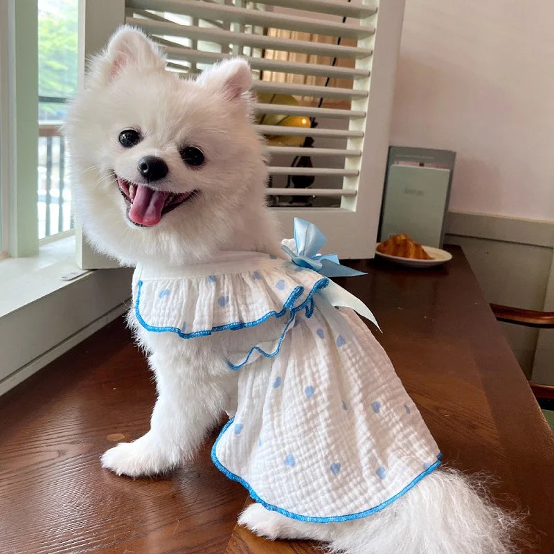 BOW DRESS