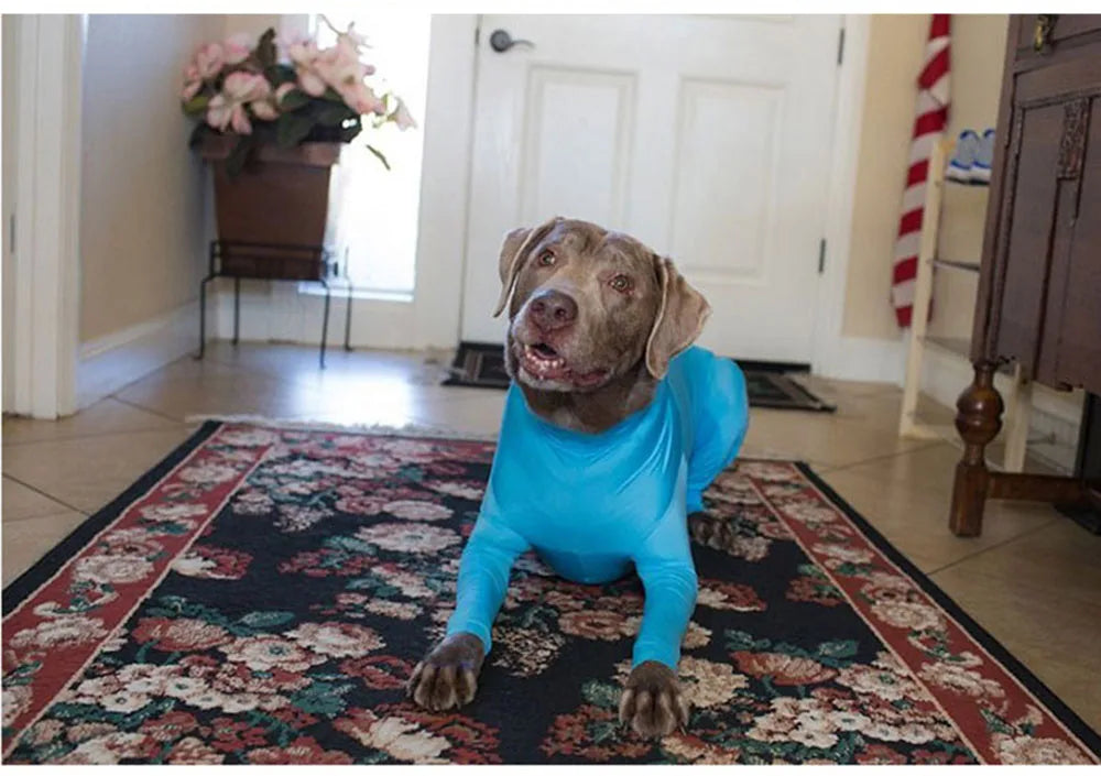 ONESIE