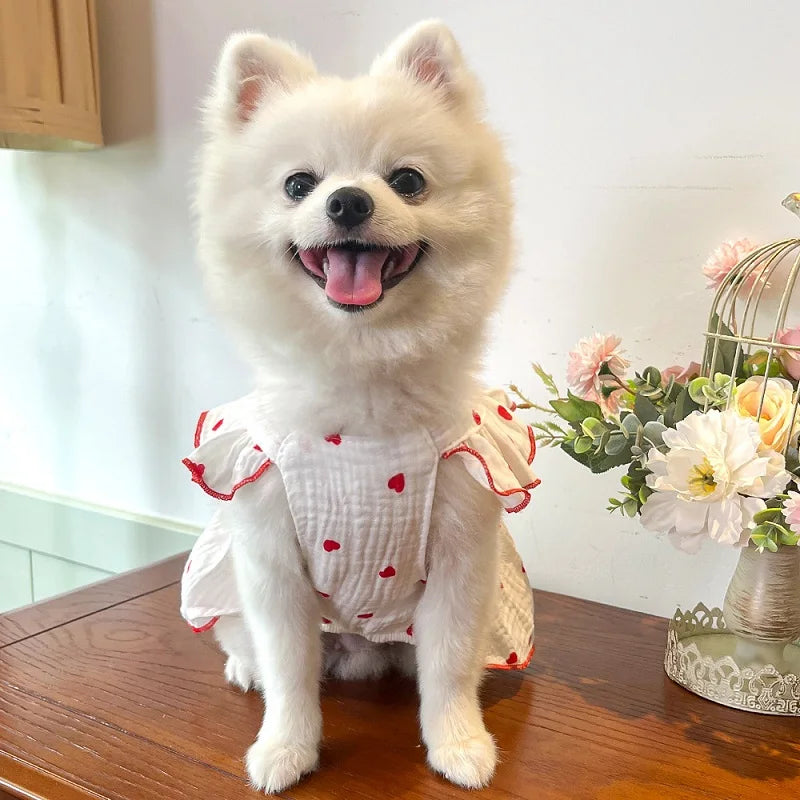 BOW DRESS