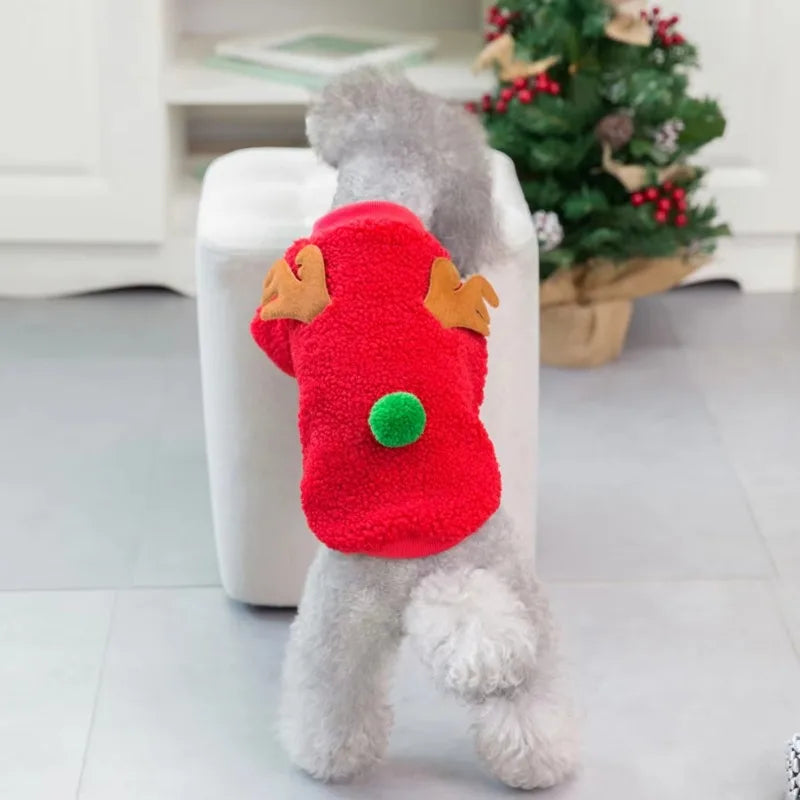 CHRISTMAS COAT