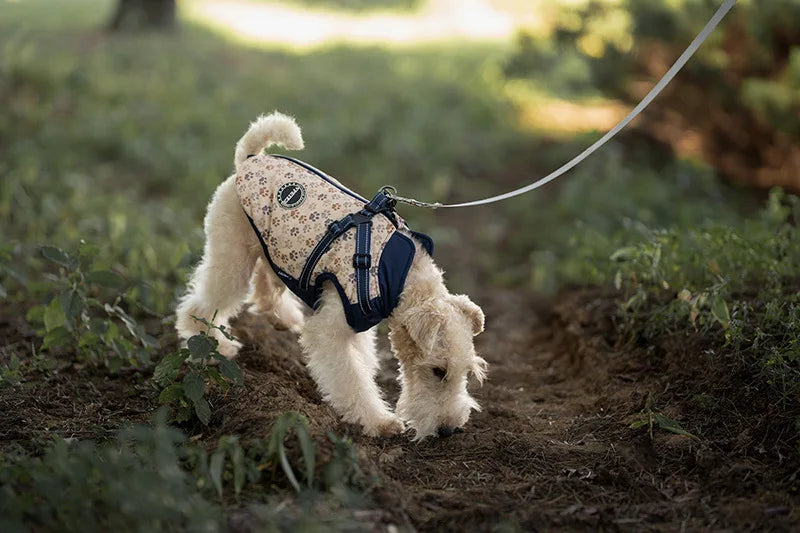 WINDPROOF VEST