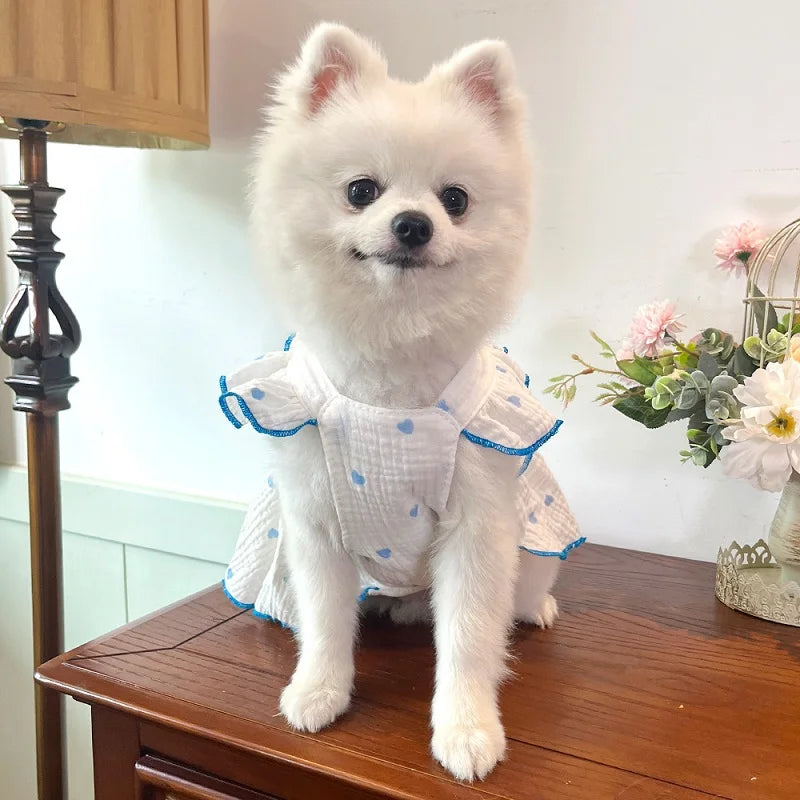 BOW DRESS