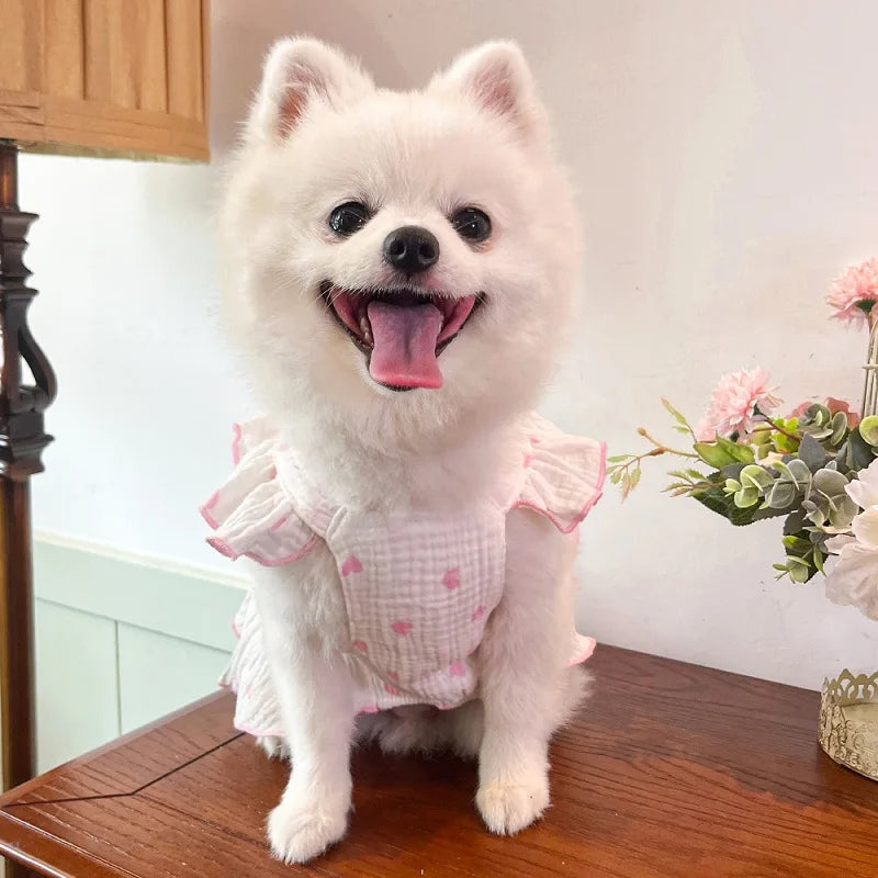 BOW DRESS