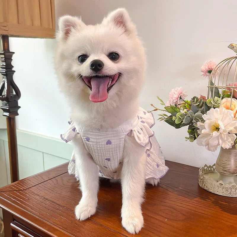 BOW DRESS