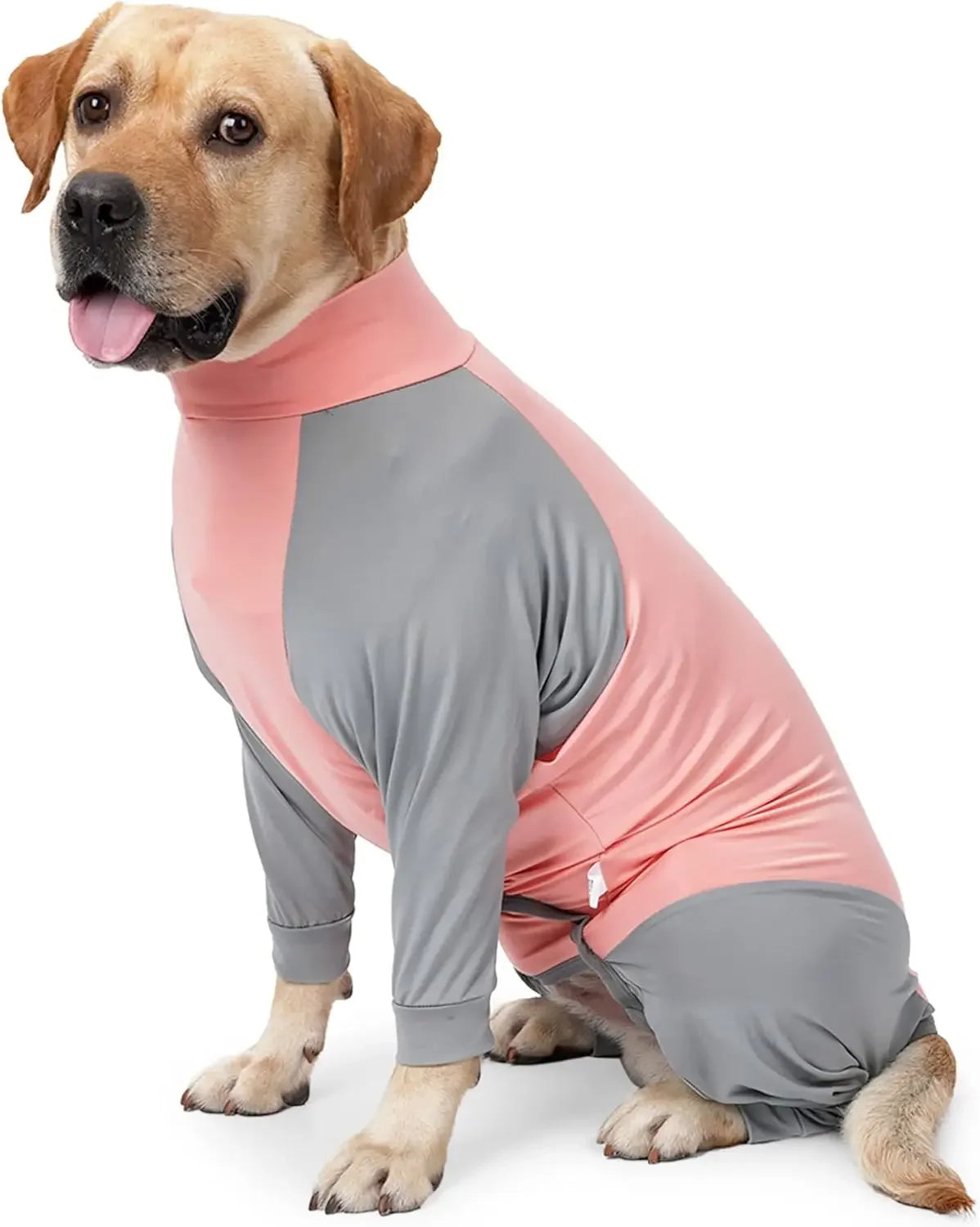 RECOVERY AND SHEDDING SUIT