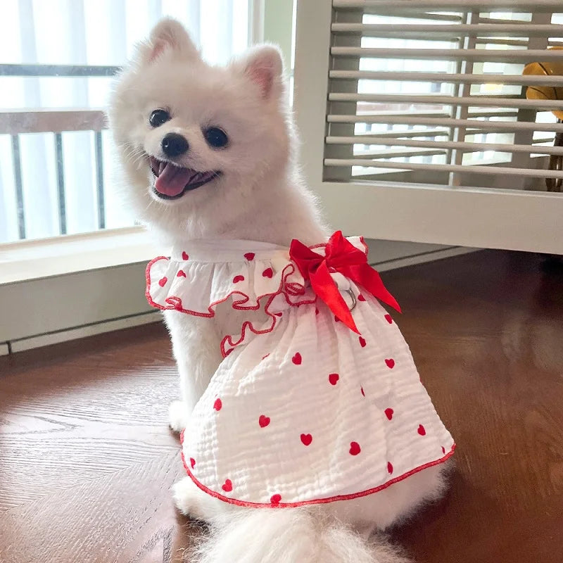 BOW DRESS